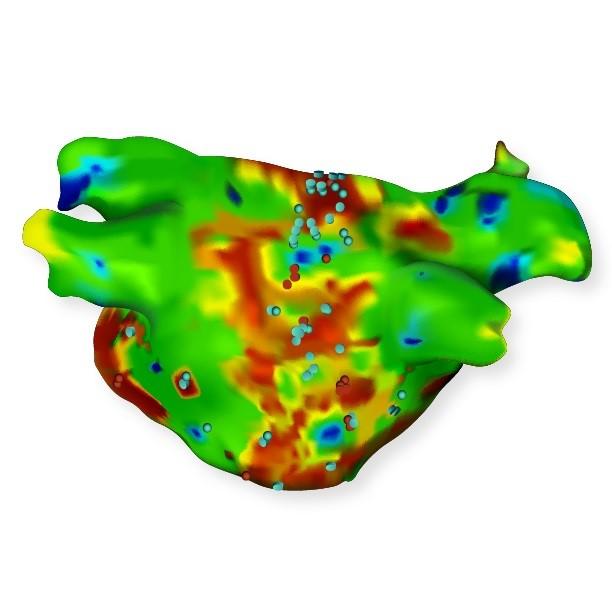 CARTO® CFAE Software Module