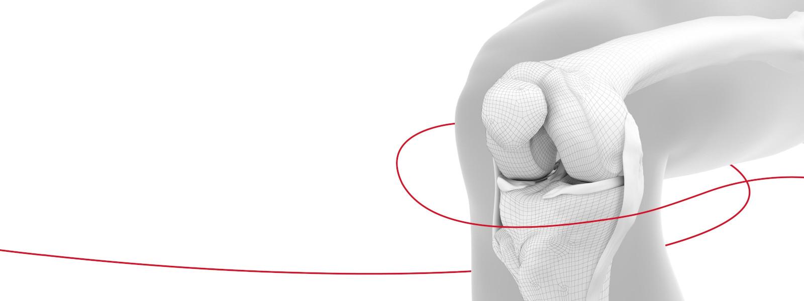 knee illustration